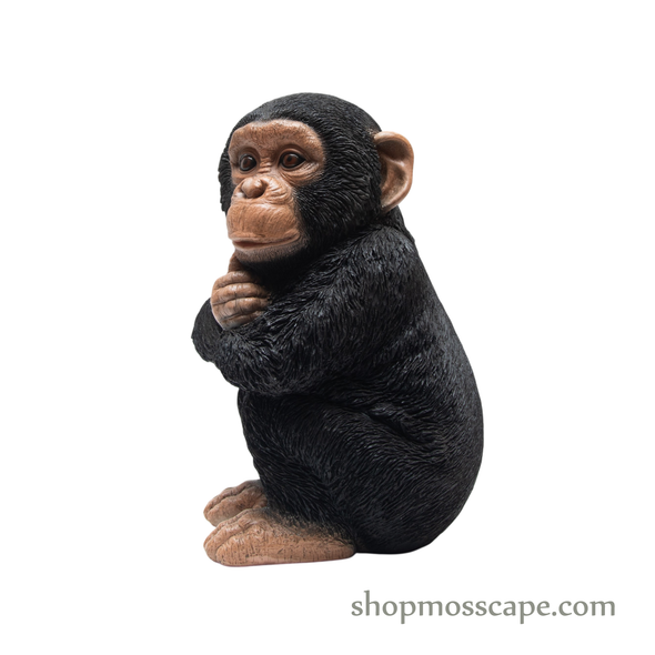 Sitting Baby Chimpanzee (Small)