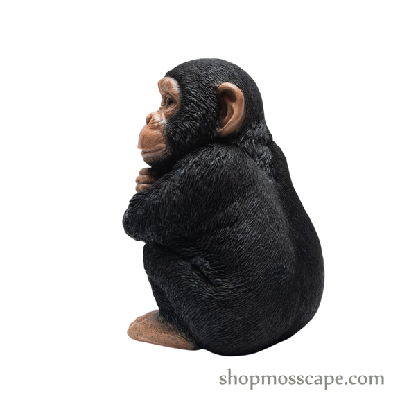 Sitting Baby Chimpanzee (Small)