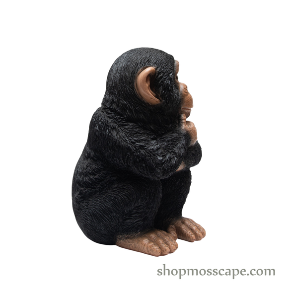 Sitting Baby Chimpanzee (Small)