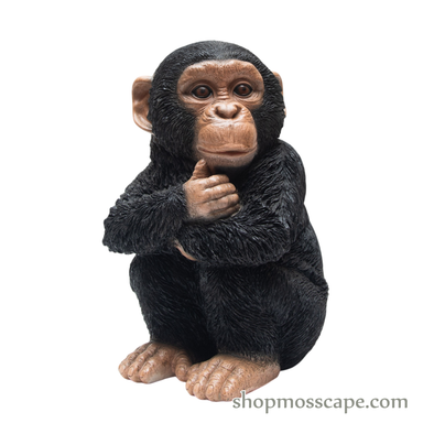 Sitting Baby Chimpanzee (Small)