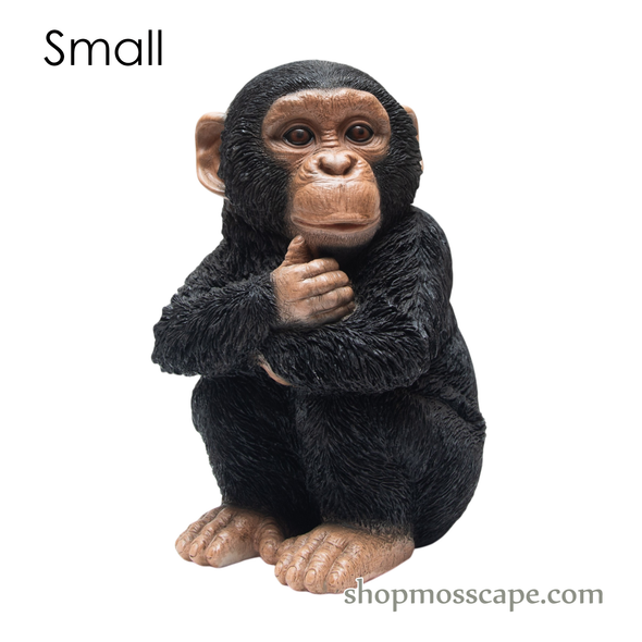 Sitting Baby Chimpanzee (Small)