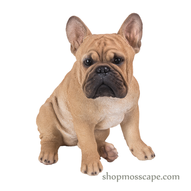 Sitting French Bulldog (Medium)