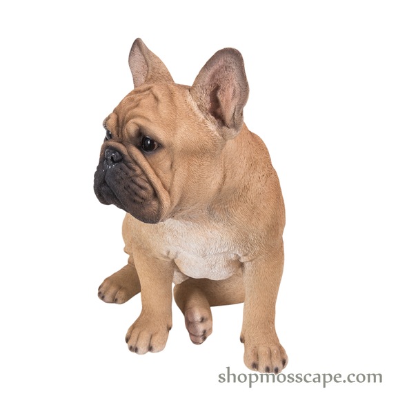 Sitting French Bulldog (Medium)