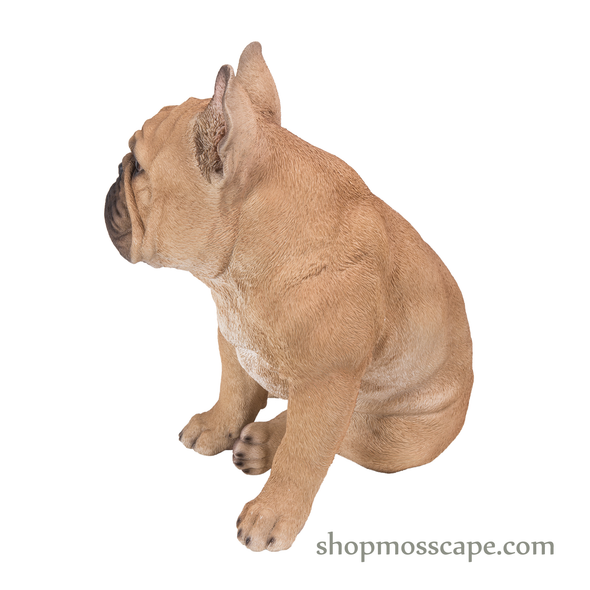 Sitting French Bulldog (Medium)