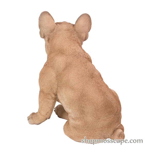 Sitting French Bulldog (Medium)