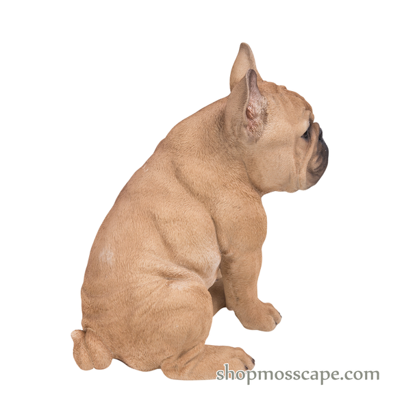 Sitting French Bulldog (Medium)