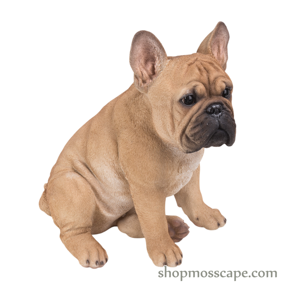 Sitting French Bulldog (Medium)