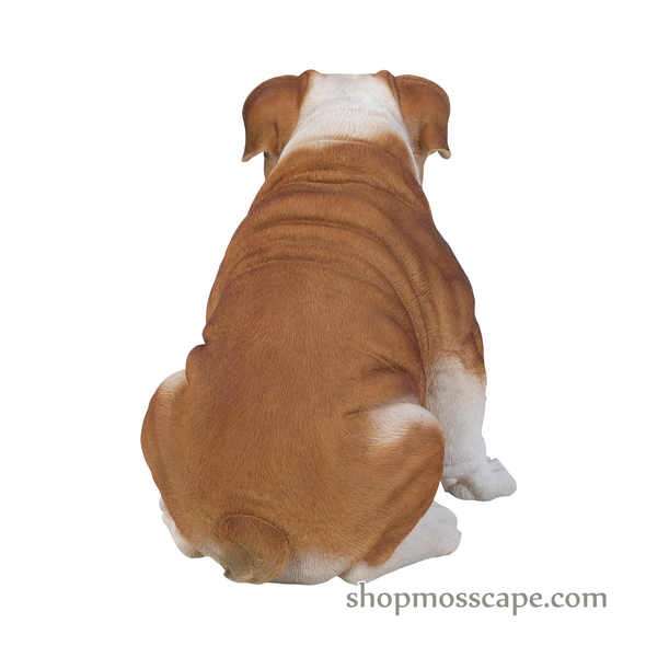 Sitting English Bulldog