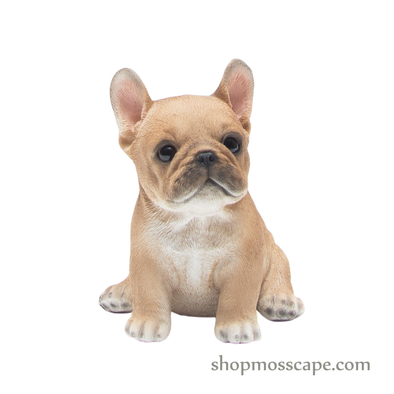 Sitting French Bulldog Puppy