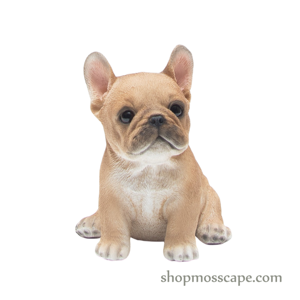 Sitting French Bulldog Puppy