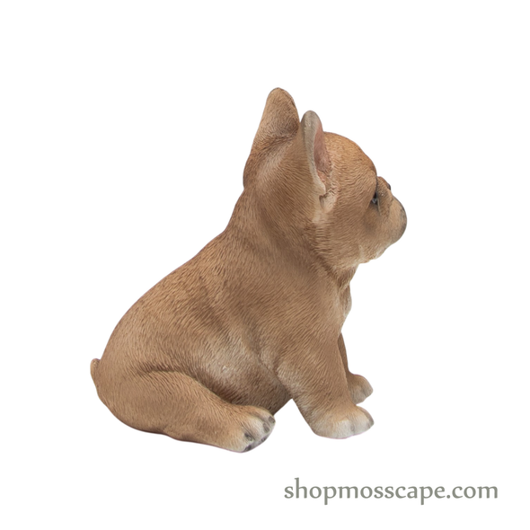 Sitting French Bulldog Puppy