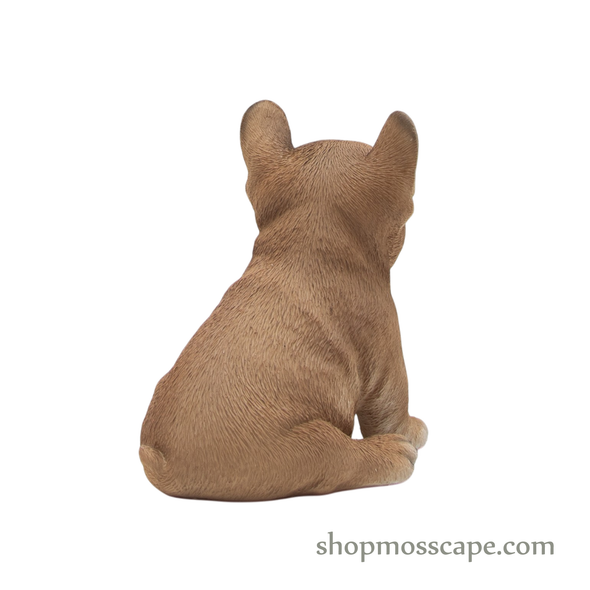 Sitting French Bulldog Puppy