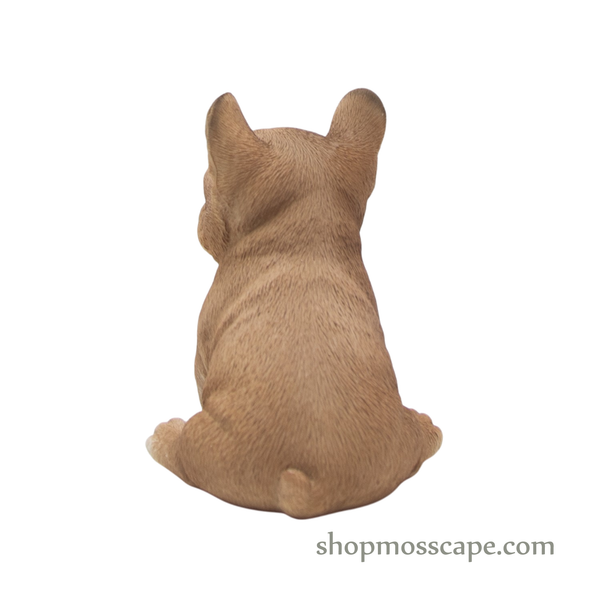 Sitting French Bulldog Puppy