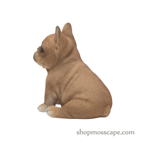 Sitting French Bulldog Puppy