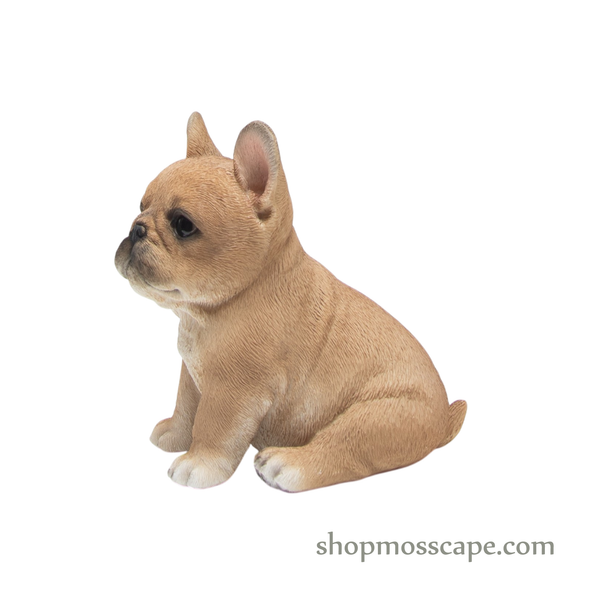 Sitting French Bulldog Puppy