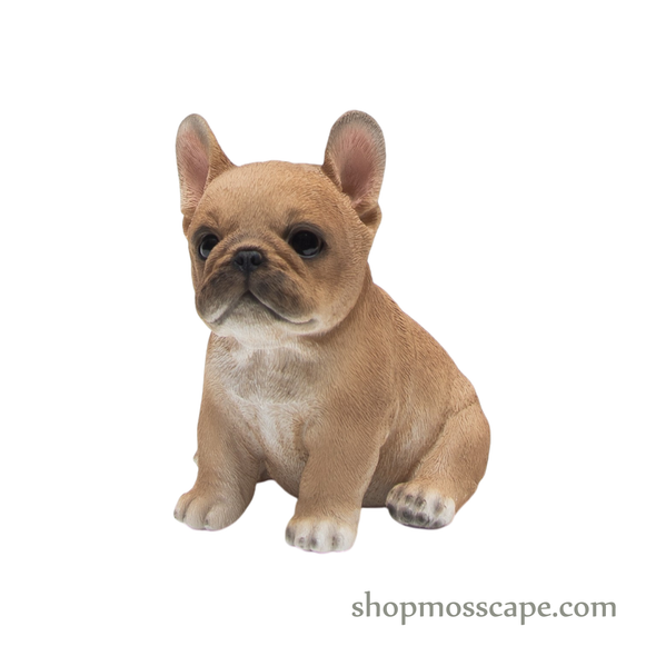 Sitting French Bulldog Puppy