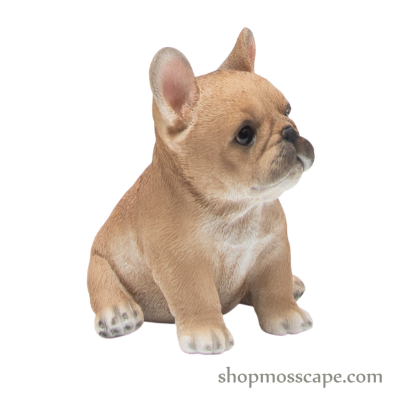 Sitting French Bulldog Puppy