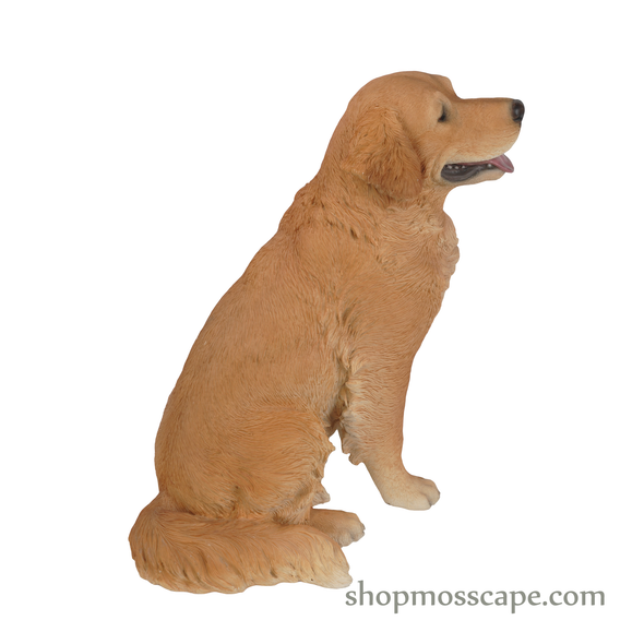 Sitting Golden Retriever (Large)
