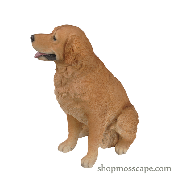 Sitting Golden Retriever (Large)