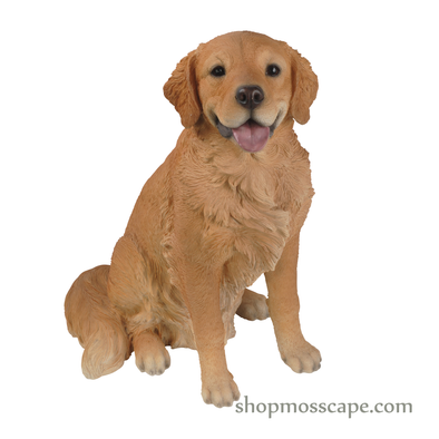 Sitting Golden Retriever (Large)