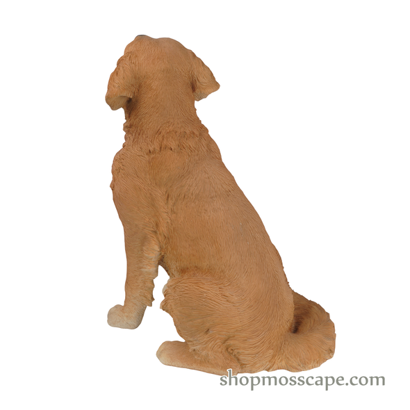 Sitting Golden Retriever (Large)