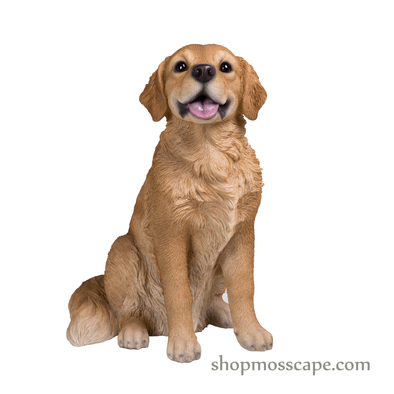 Sitting Golden Retriever (Medium)