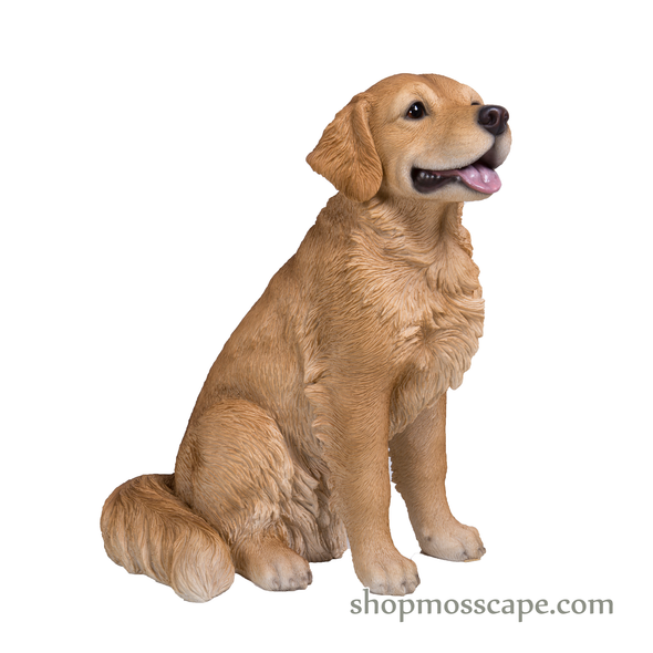 Sitting Golden Retriever (Medium)
