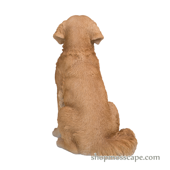 Sitting Golden Retriever (Medium)