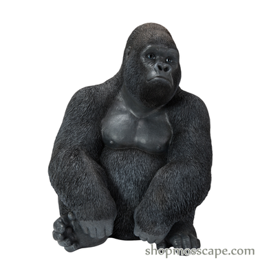 Sitting Gorilla