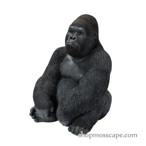 Sitting Gorilla