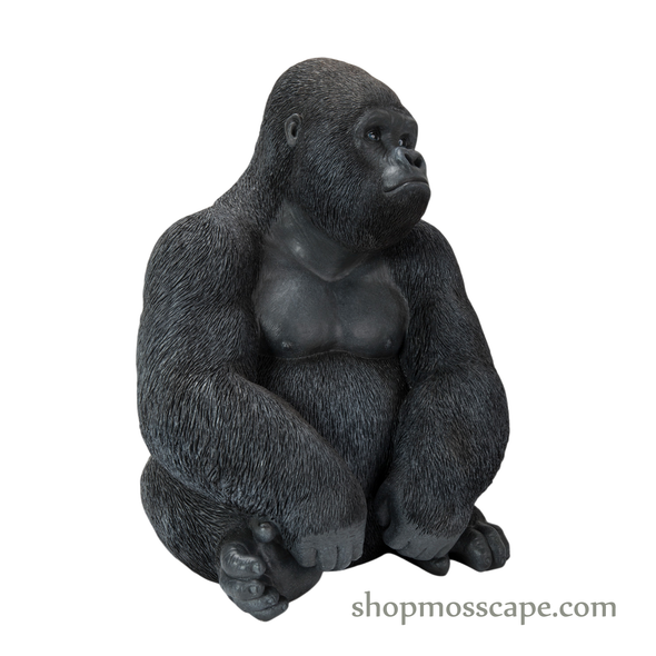 Sitting Gorilla
