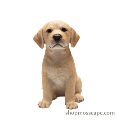 Sitting Labrador Retriever Puppy