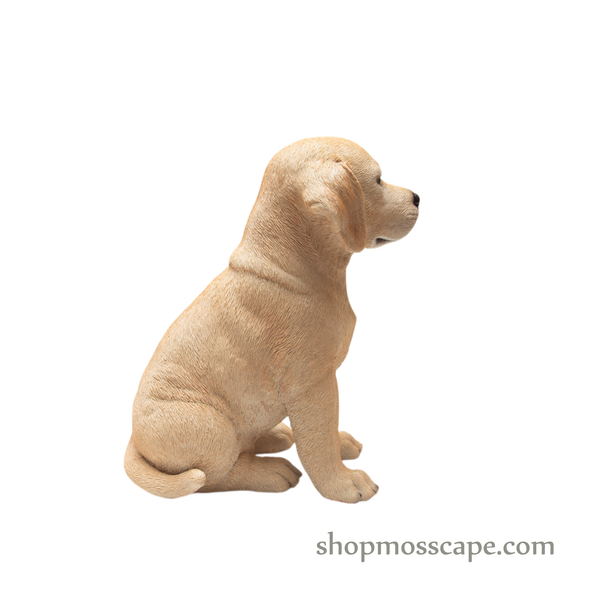 Sitting Labrador Retriever Puppy