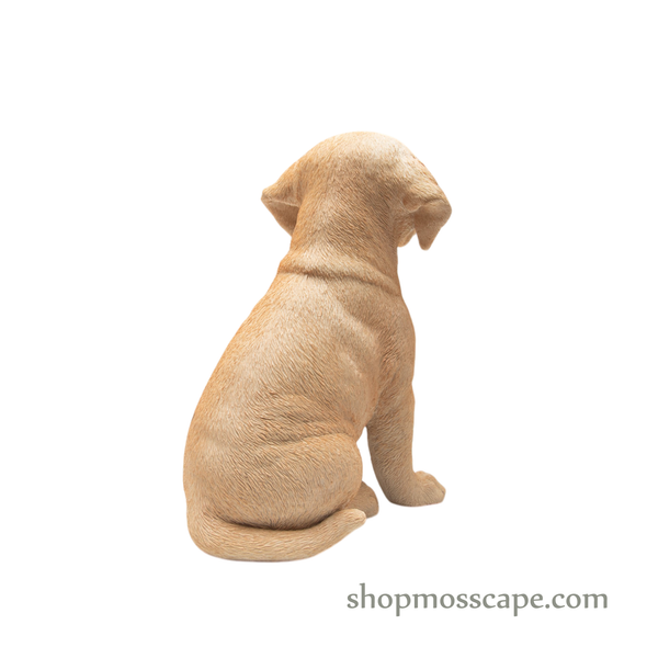 Sitting Labrador Retriever Puppy
