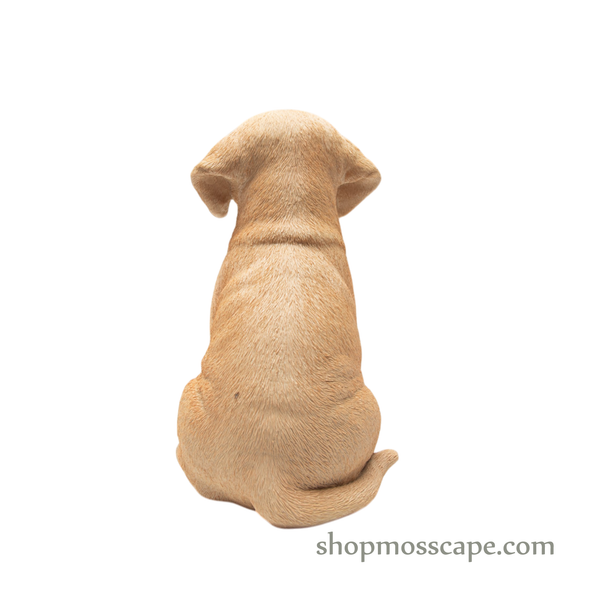 Sitting Labrador Retriever Puppy