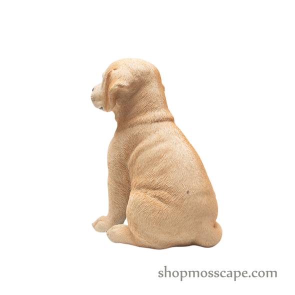 Sitting Labrador Retriever Puppy