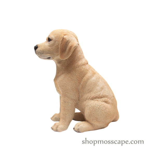 Sitting Labrador Retriever Puppy
