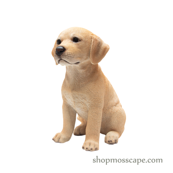 Sitting Labrador Retriever Puppy