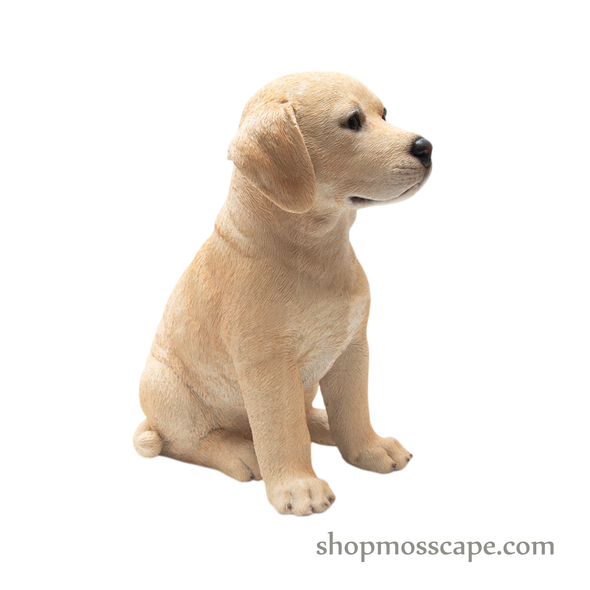 Sitting Labrador Retriever Puppy