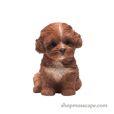 Sitting Poodle Puppy (Small)