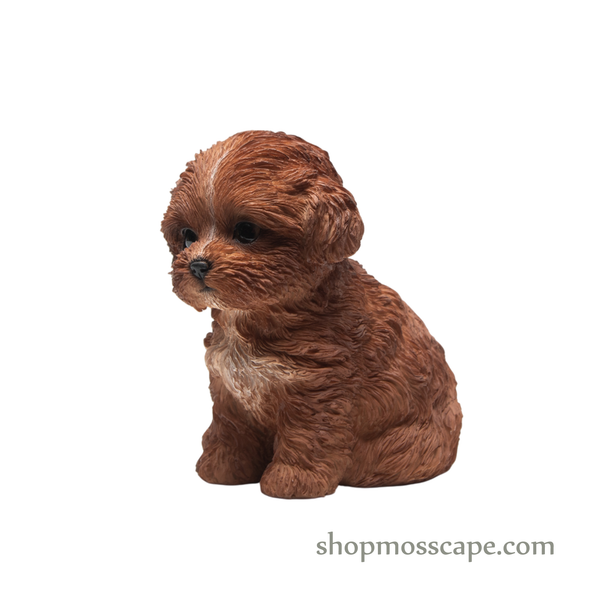 Sitting Poodle Puppy (Small)