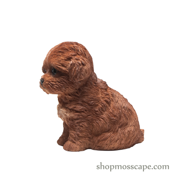 Sitting Poodle Puppy (Small)