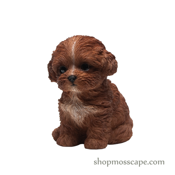 Sitting Poodle Puppy (Small)