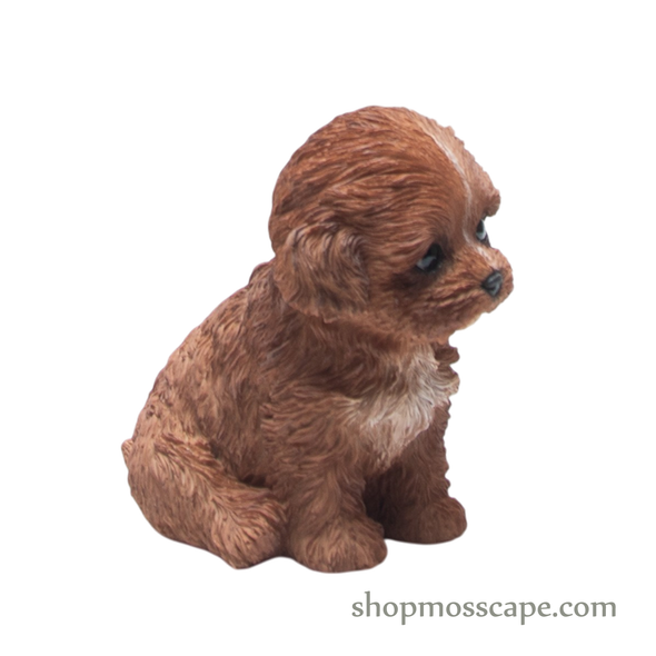 Sitting Poodle Puppy (Small)