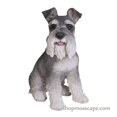Sitting Schnauzer (Medium)