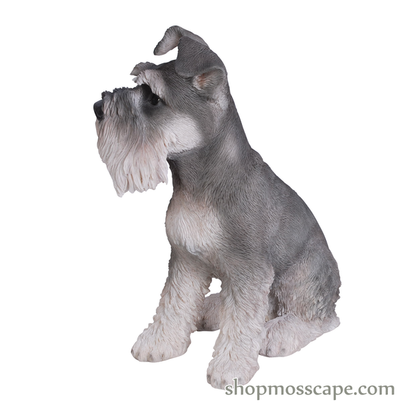 Sitting Schnauzer (Medium)