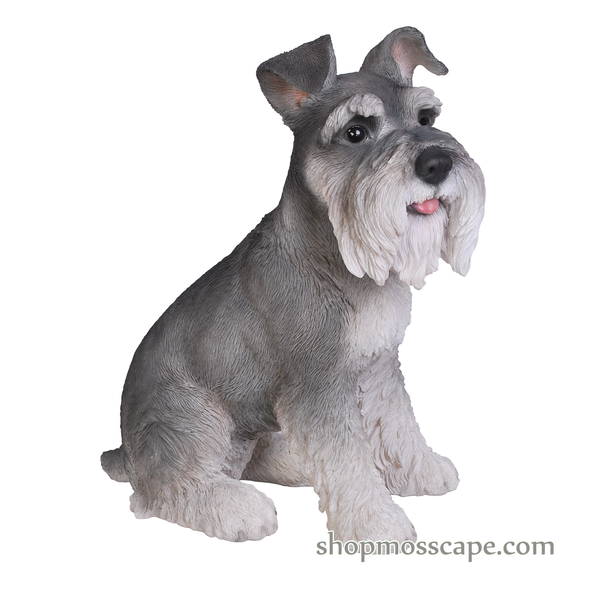 Sitting Schnauzer (Medium)