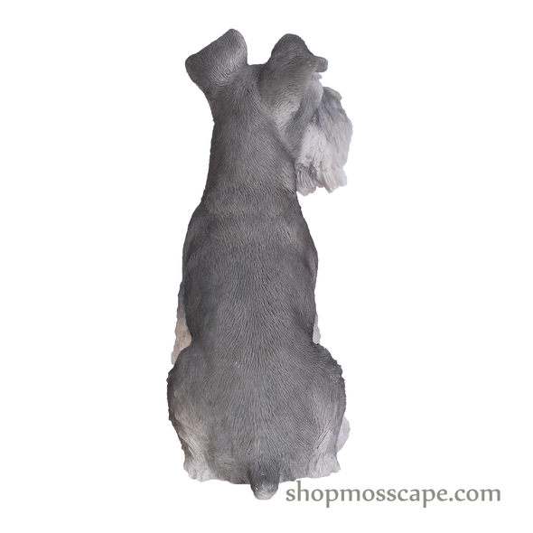 Sitting Schnauzer (Medium)