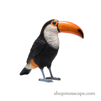Toucan