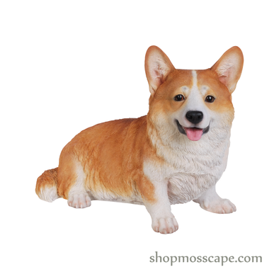 Sitting Welsh Corgi